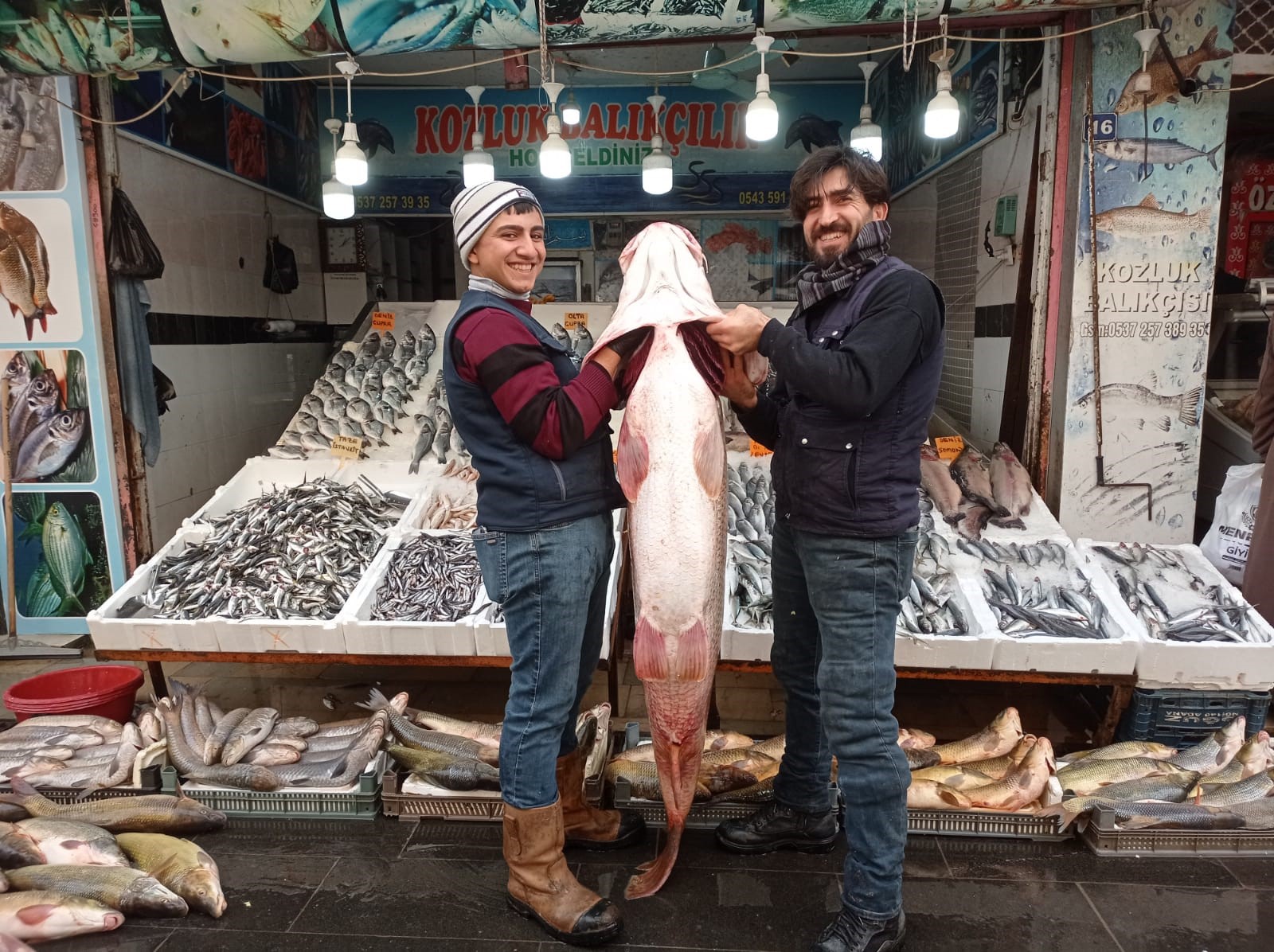 Dev Turna Balığı yoğun ilgi gördü