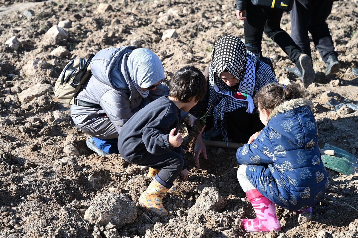 Gazzeli şehitler anısına fidan dikildi