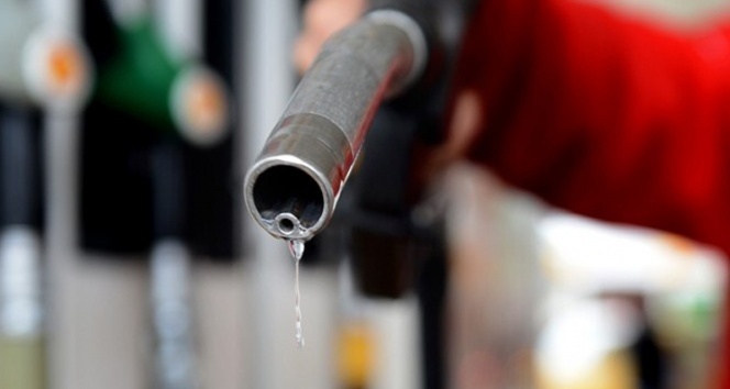 MAZOTA ZAM GELİYOR!