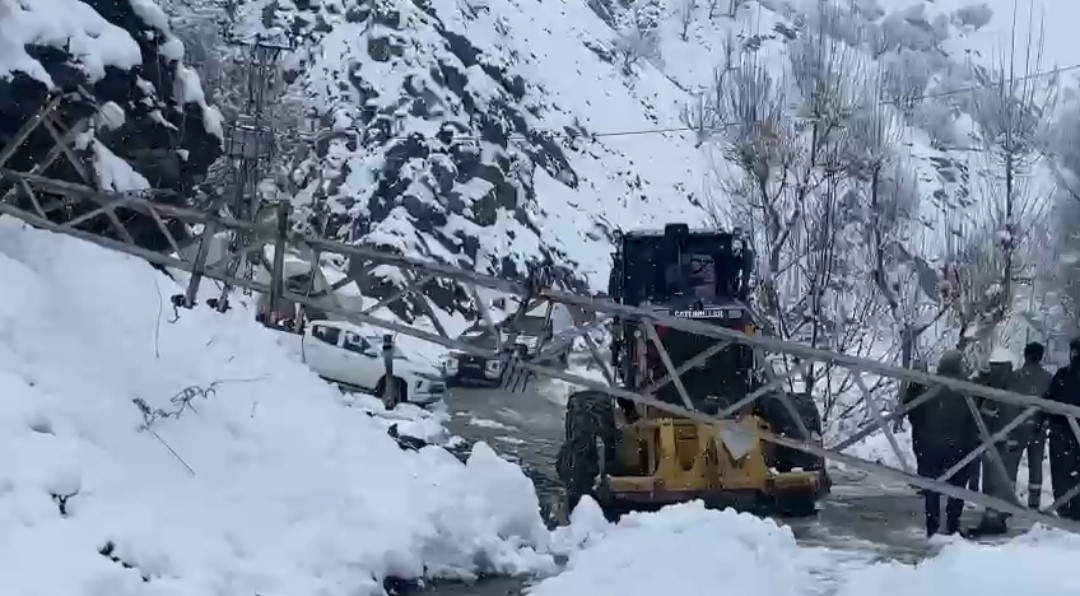 Kar nedeniyle devrilen direk ulaşımı kapattı