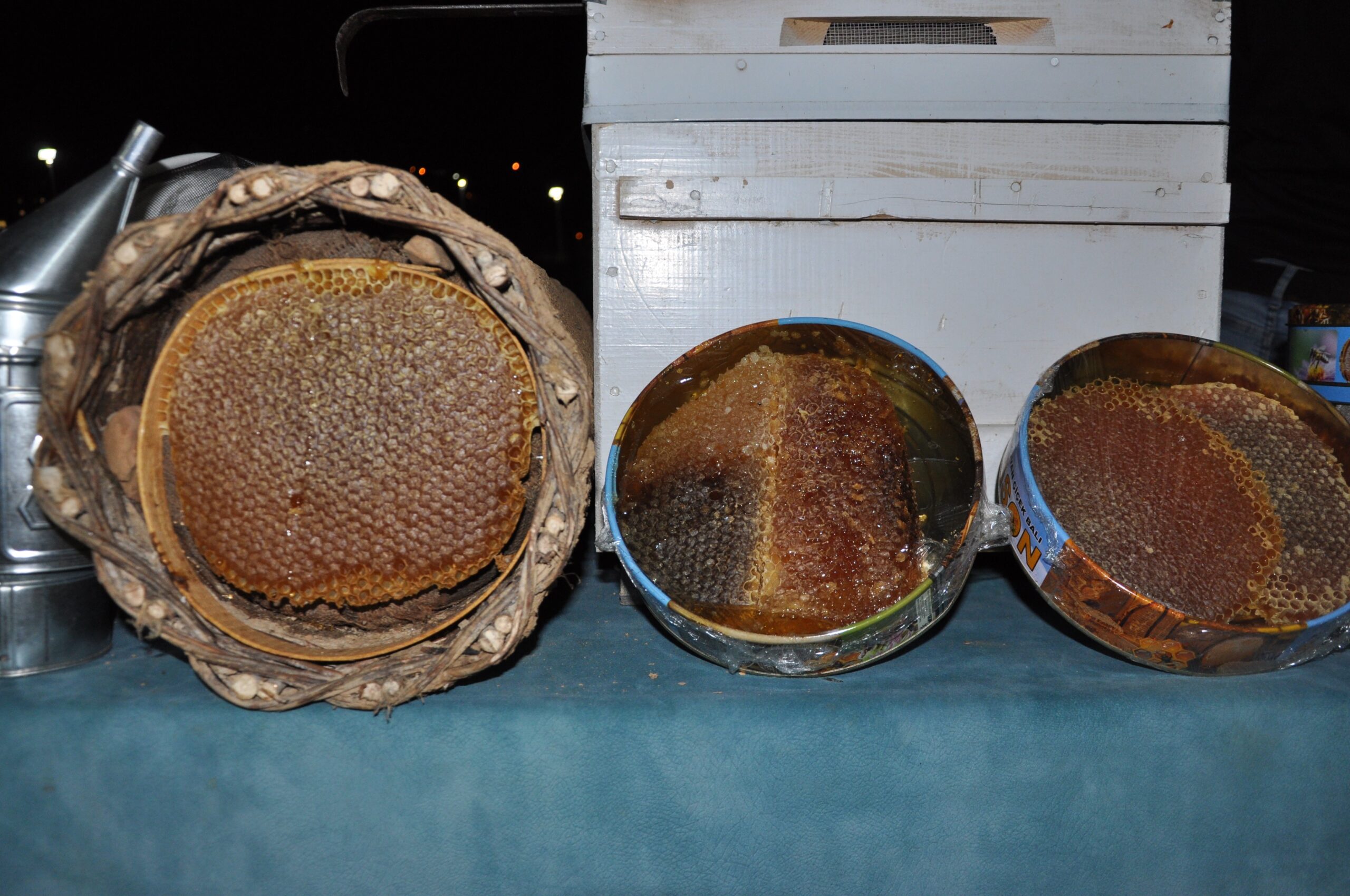 Binlerce hibeli kovanın başvuruları başladı!