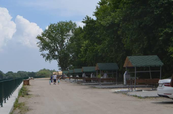 Ağaçlandırma çalışmaları başladı