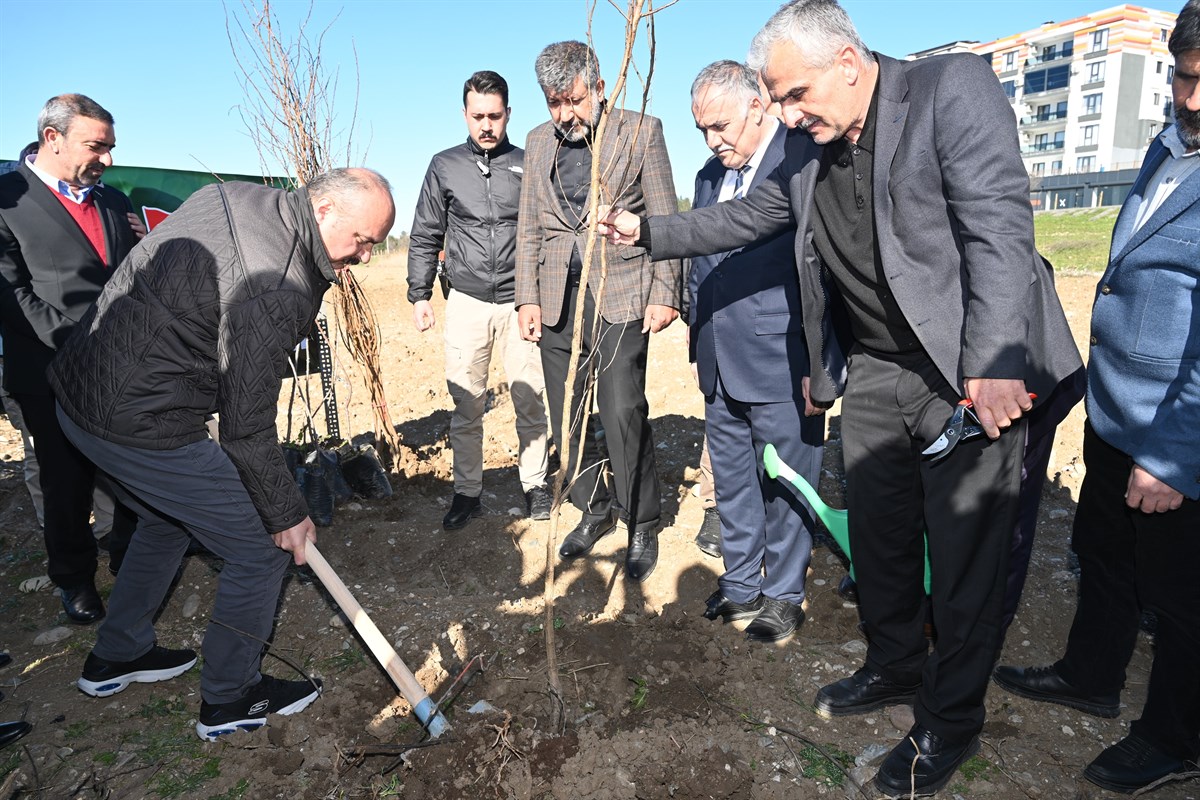 Köylerin yol güzergahlarına meyve fidanı dikilecek