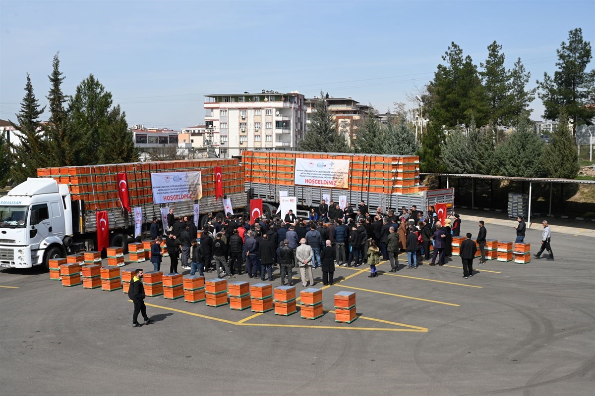 4 bin adet hibeli arı kovanı dağıtıldı
