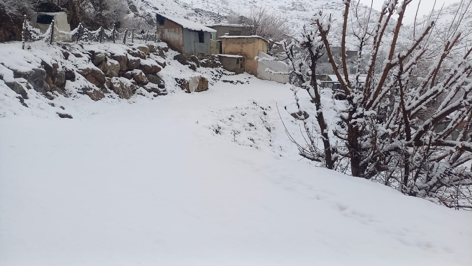 Sason’un yüksek kesimlerinde kar yağışı etkili oldu