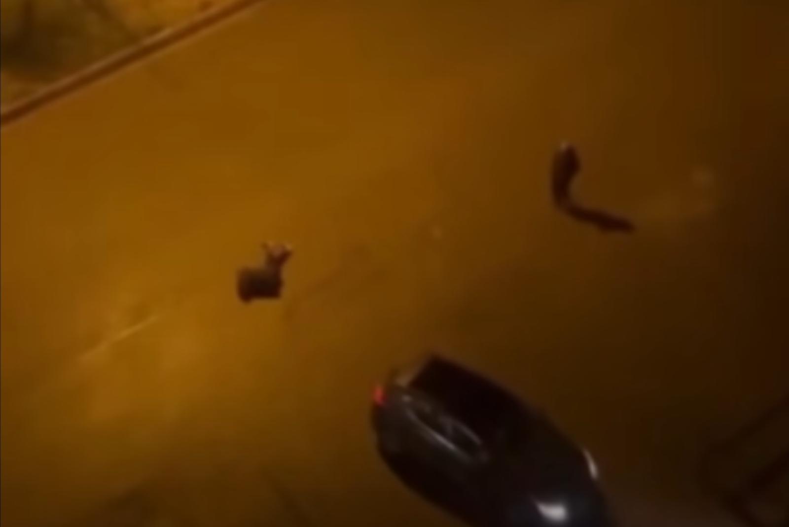 2 KİŞİNİN ÖLÜMÜNE İLİŞKİN YENİ DETAYLAR!