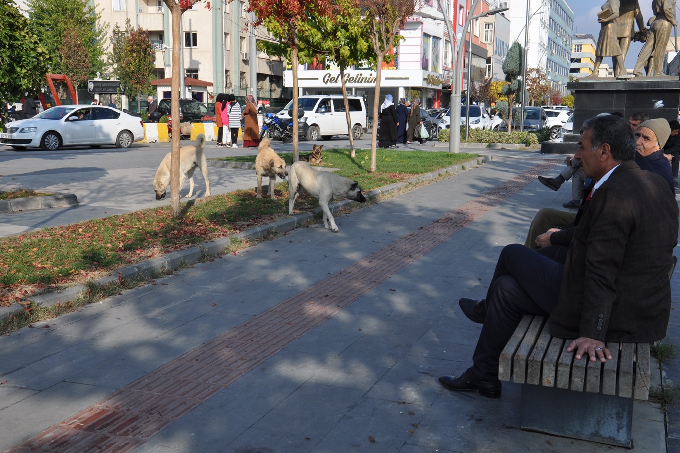 Uzmanlar uyarıyor: Köpek saldırılarına karşı nasıl bir yol izlenmeli?