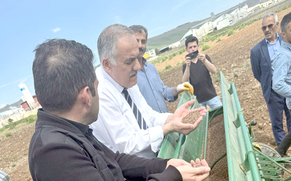 Glutensiz Karabuğday ekimi yapıldı