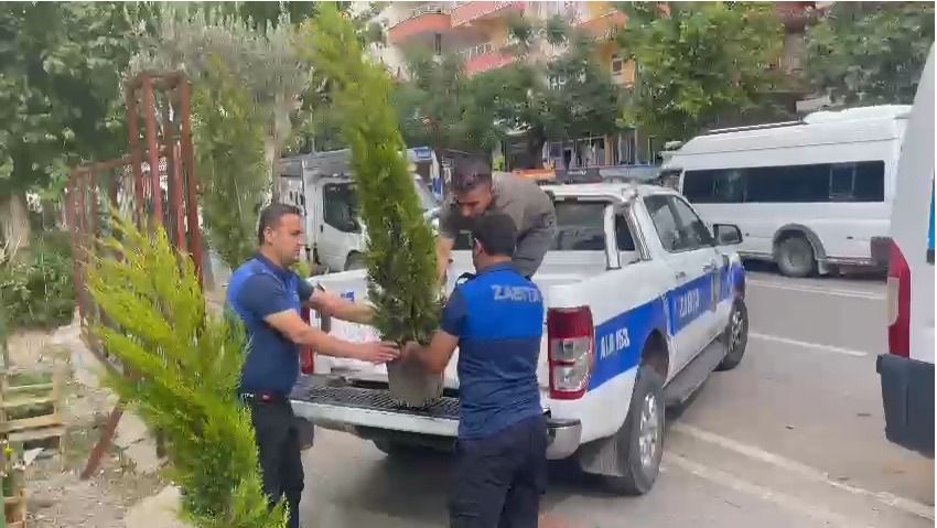 Ağaç kesen esnafa ceza