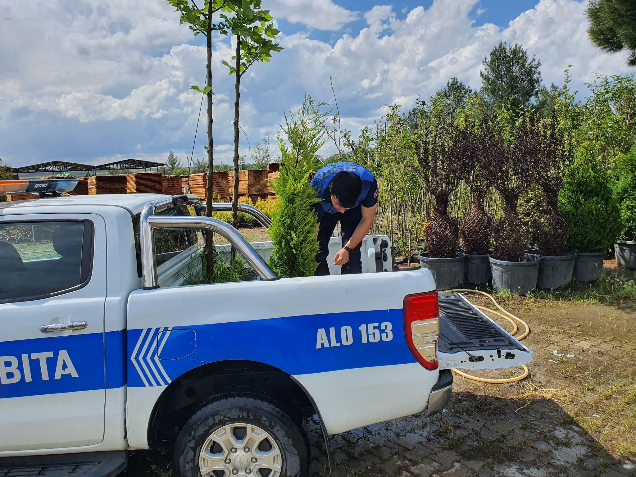 Kaldırımdaki ağacı kesen esnafa ceza