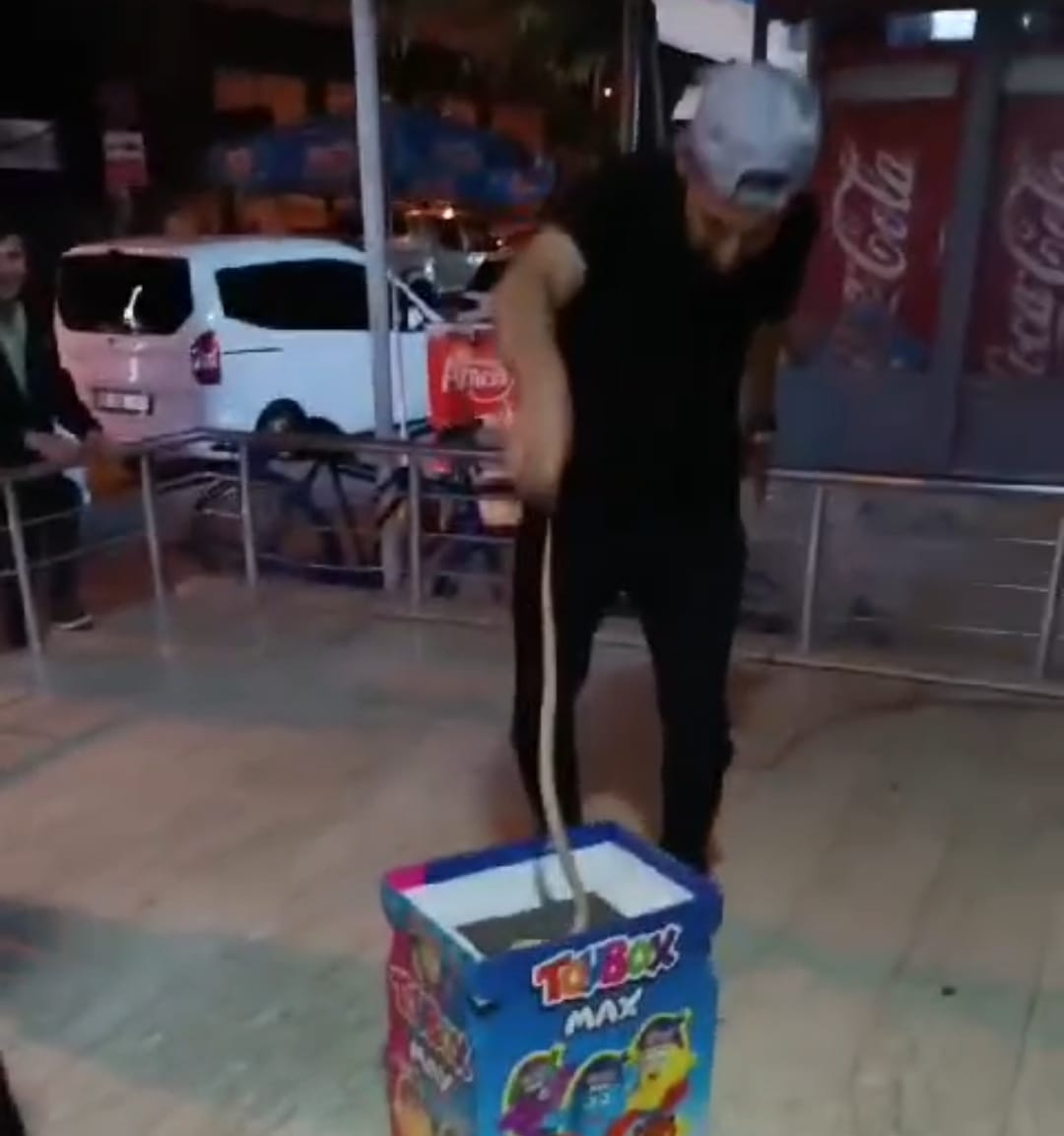 ŞEHRİN GÖBEĞİNDE YILAN PANİĞİ
