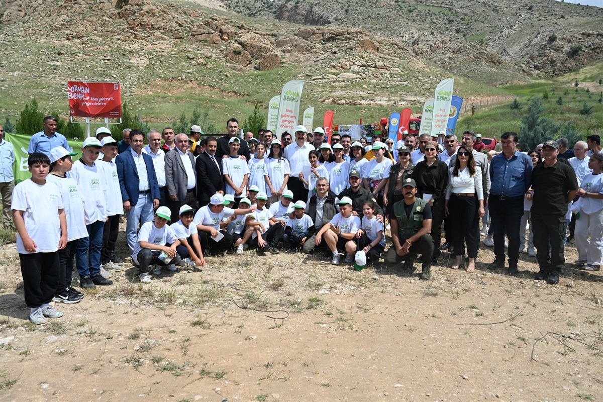 Batman’da orman temizleme etkinliği