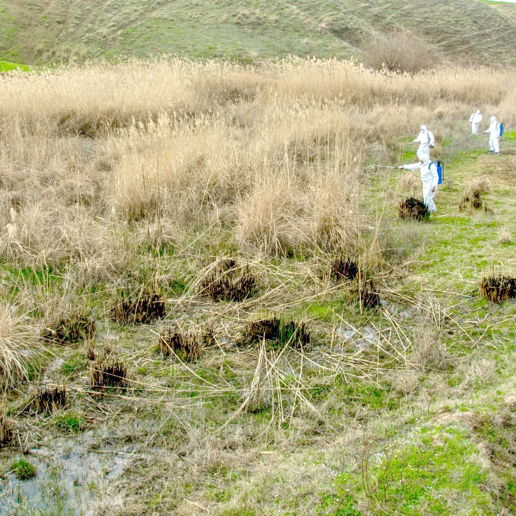 Özel İdareden ilaçlama çalışması