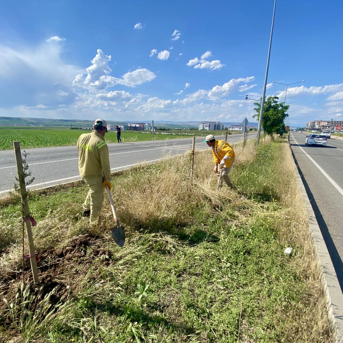 Batman Yeşil Kuşak Projesi ilerliyor