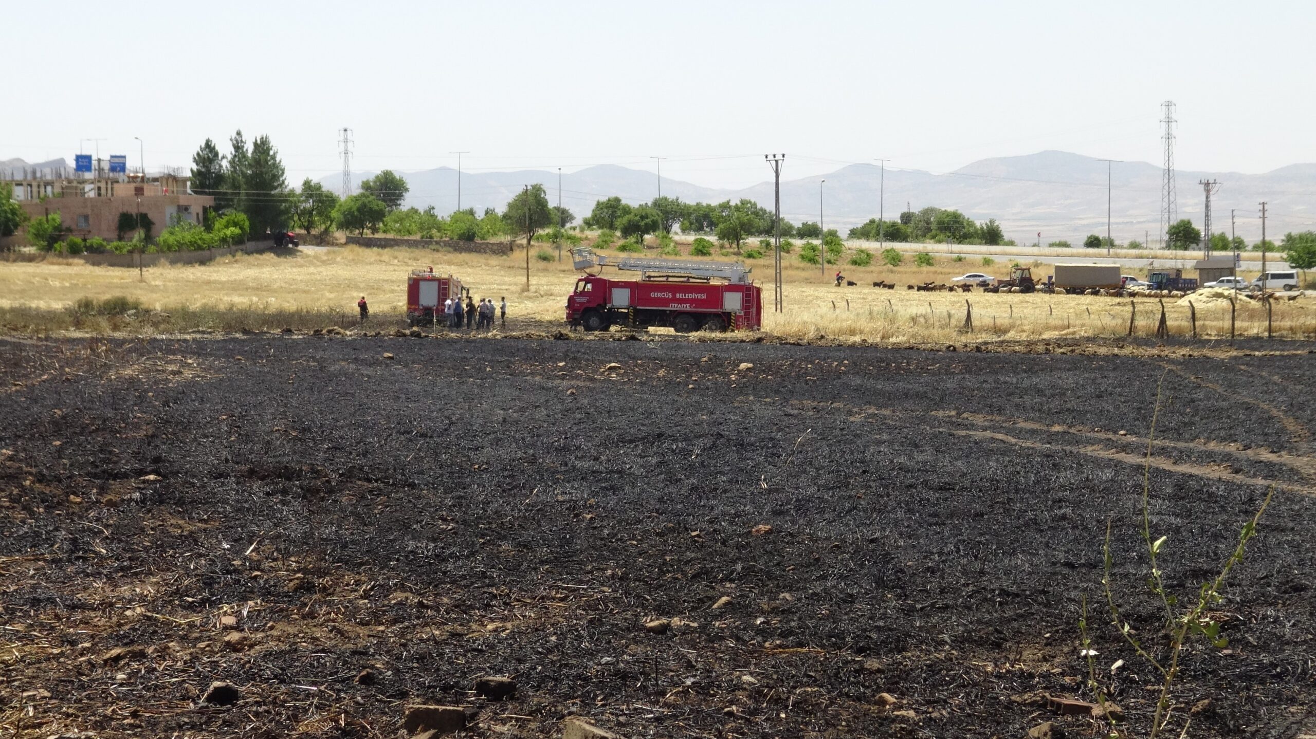 ANIZ YAKAN 12 KİŞİYE CEZA