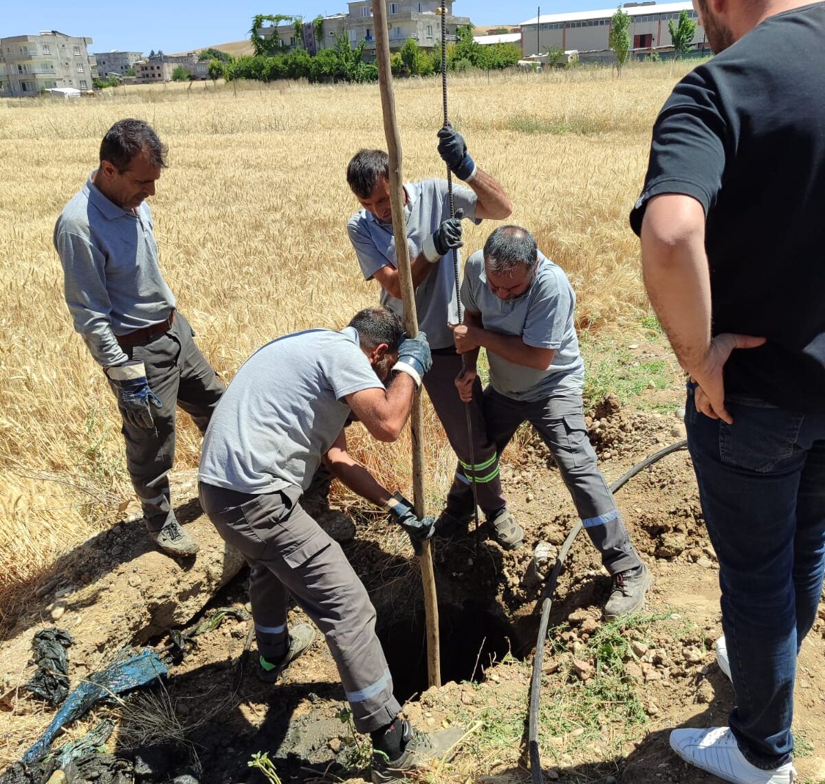 Kanalizasyondan çıkanlar ekipleri şaşırttı