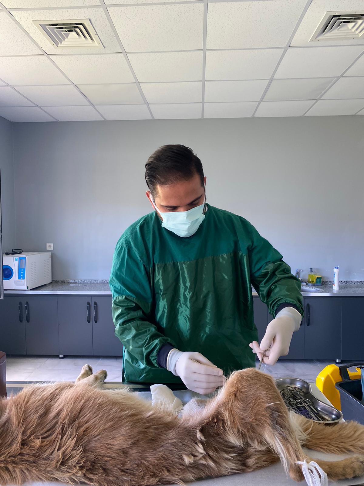 3 ayda 1215 işlem gerçekleştirdi