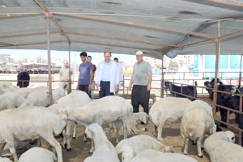 Kurban satış ve kesim yerleri belirlendi