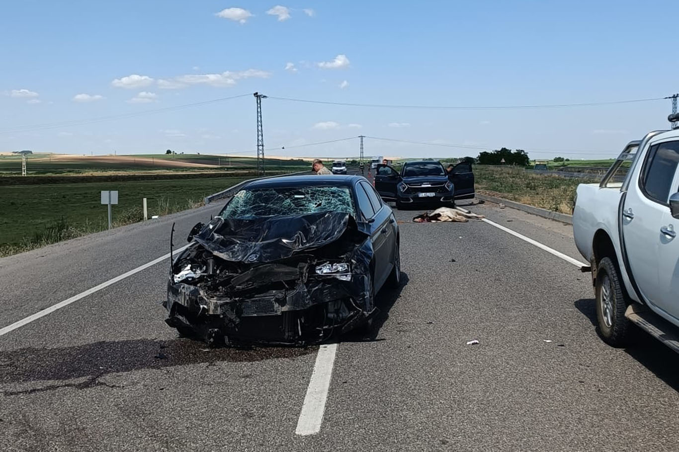 Otomobil inek sürüsüne daldı