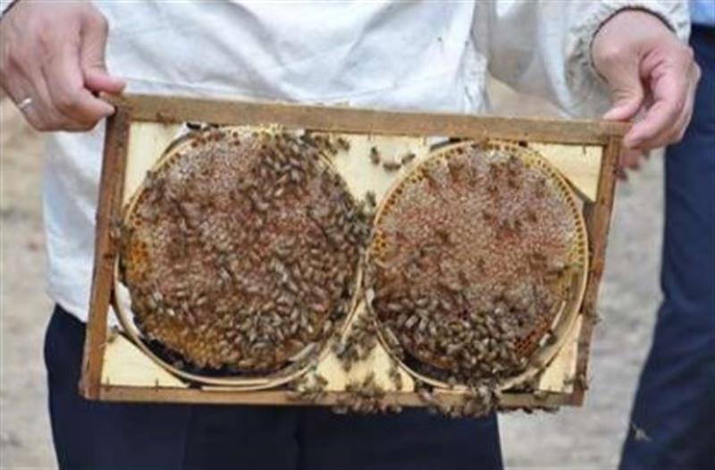 Belediye arıcıları uyardı