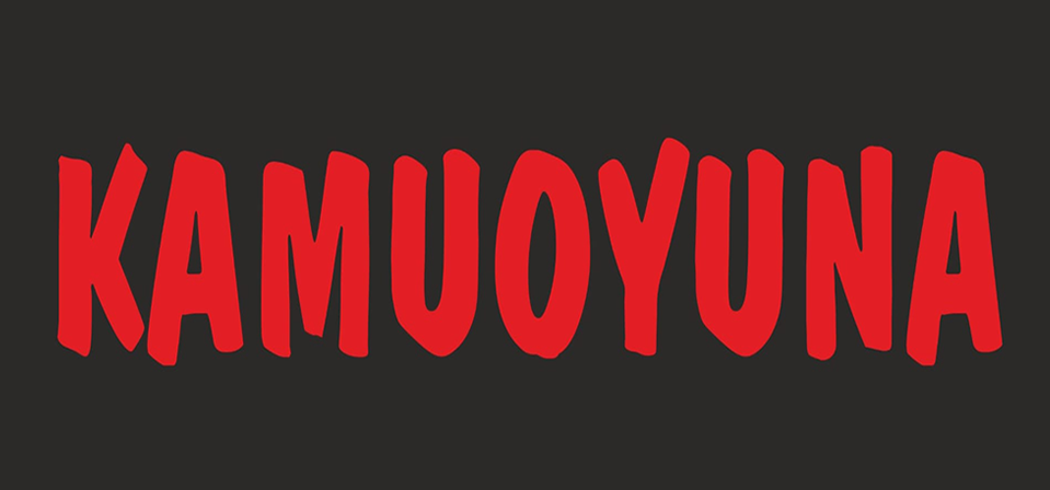 KAMUOYUNA