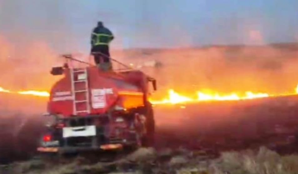 1500 dönümlük arazi kül oldu