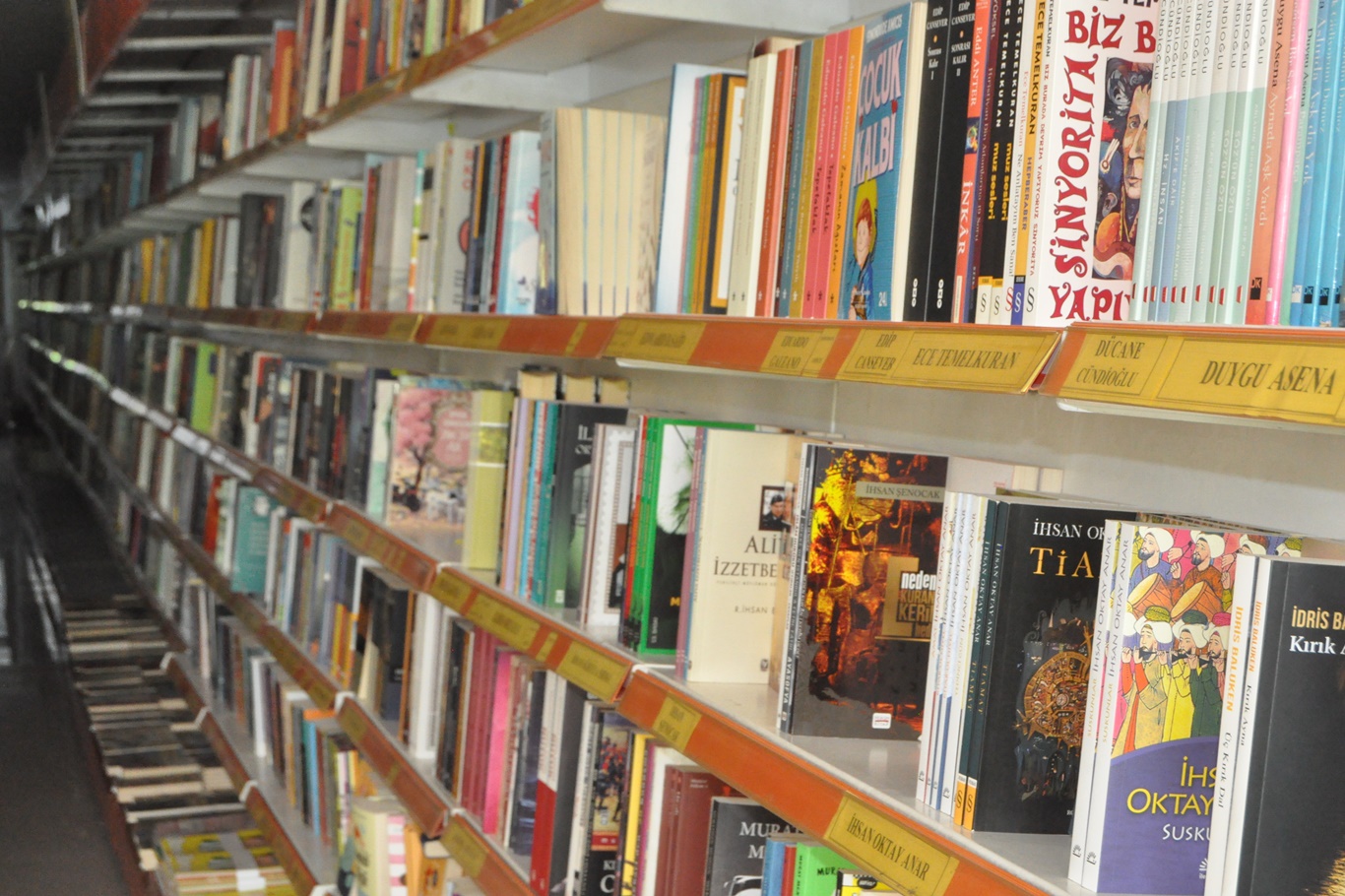 ‘Kitap satışları durma noktasına geldi’