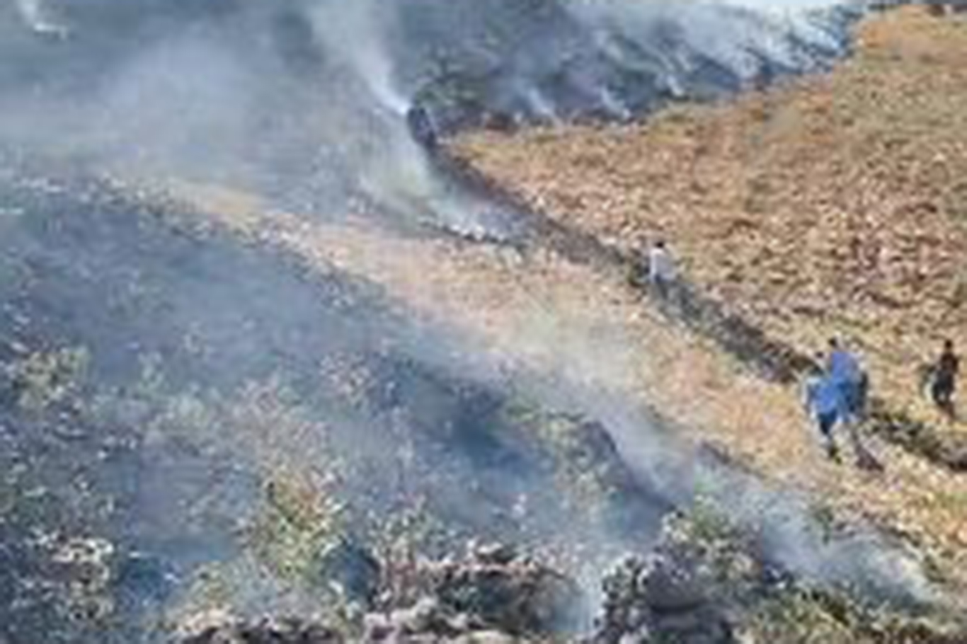 Batman’da 3 bin dönümlük ekili alan küle döndü