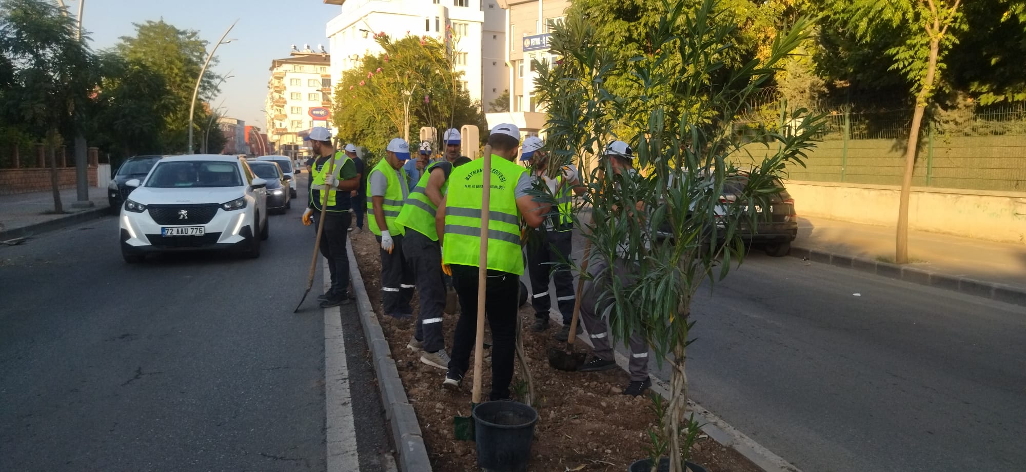 İstasyon Caddesi’nde Kalıcı Ağaç Dikimi Yapıldı