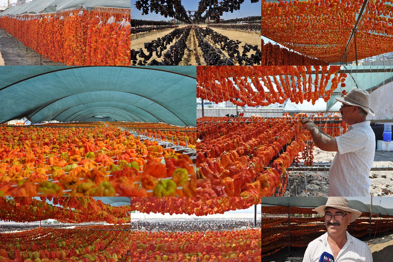 Batman’da kavurucu sıcaklıkla kurutmalık sebze hazırlığı