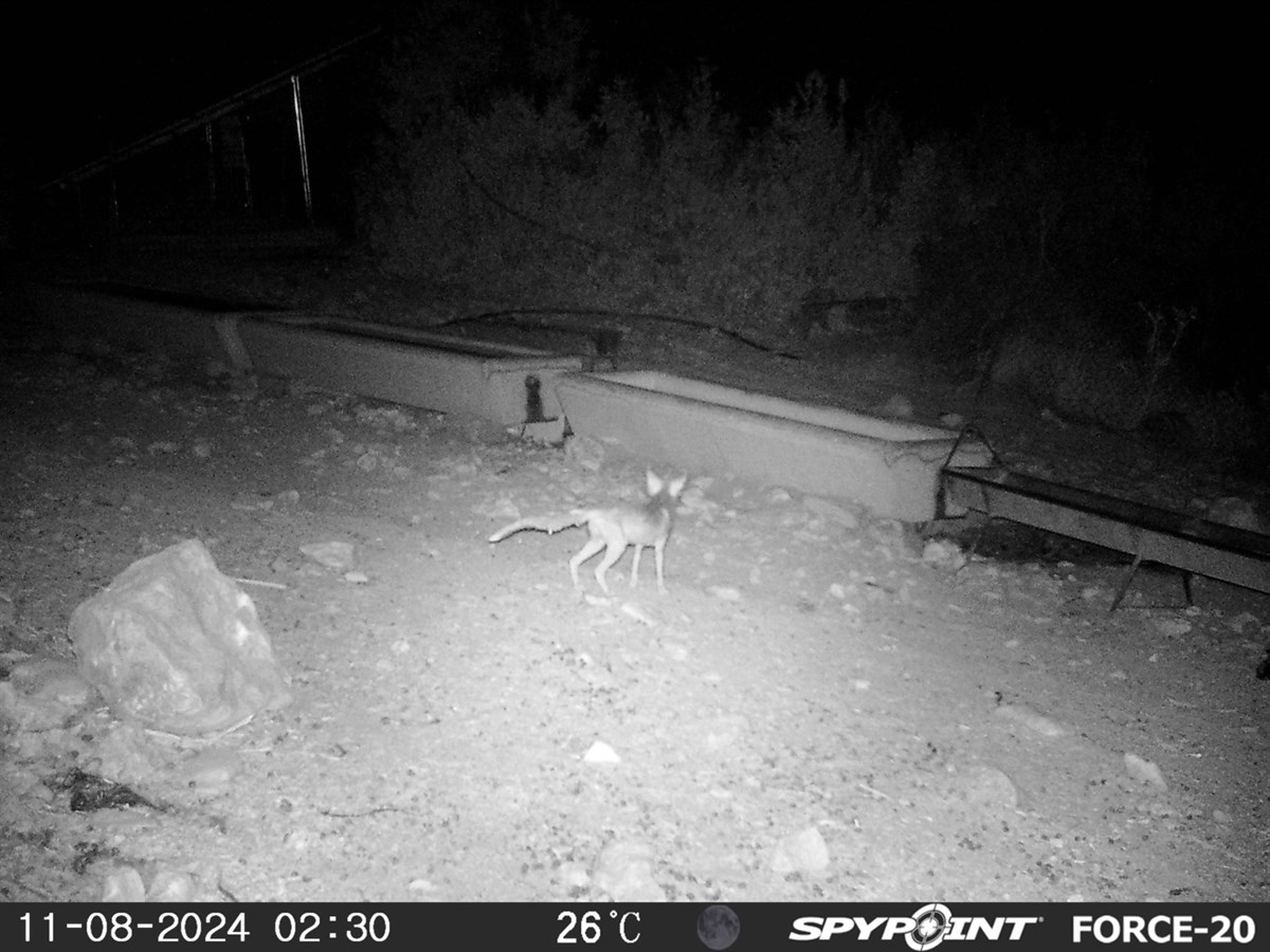 “Serçe Parmak” Projesi ile Batman’da Biyolojik Çeşitlilik İzleniyor