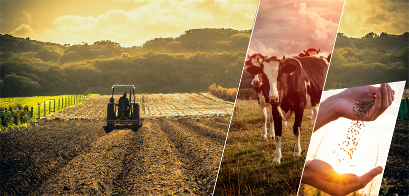 2024 Yılı Bitkisel Üretim Destekleri Açıklandı