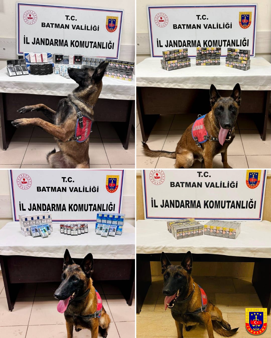 Hasankeyf’te kaçak ürünler ele geçirildi