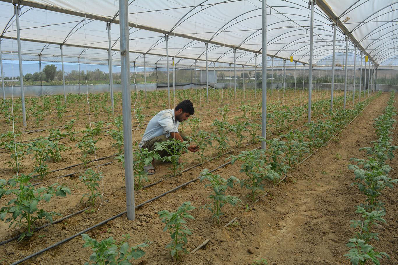 “Seralarda verimlilik istenilen düzeyde değil”