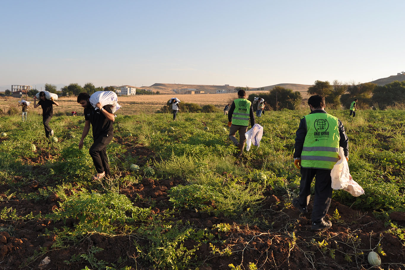 TARLADAKİ TÜM MAHSULÜNÜ GAZZE’YE BAĞIŞLADI