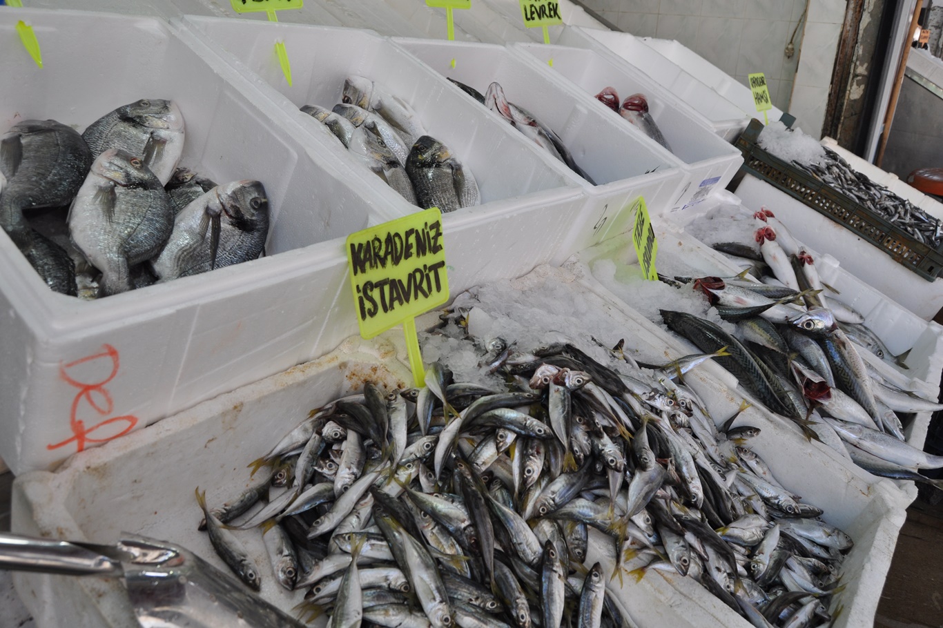 Av yasağının kalkmasıyla balıkçılar ve vatandaşlar sevindi