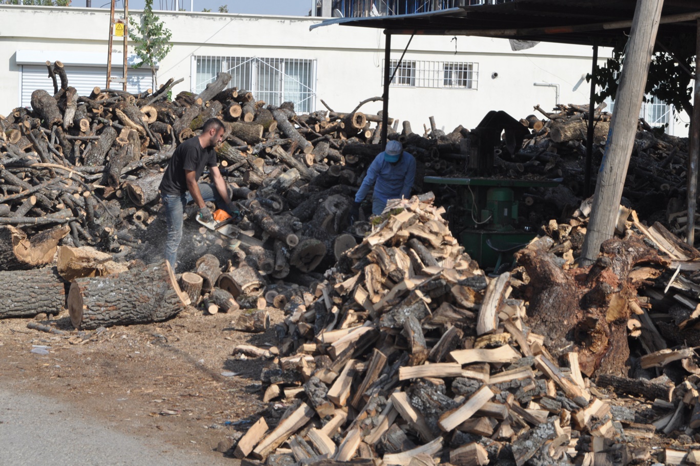 Kışlık odun hazırlığı başladı