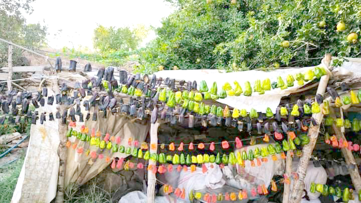 Kışa Hazırlık: Sebze ve Meyve Kurutma Geleneği