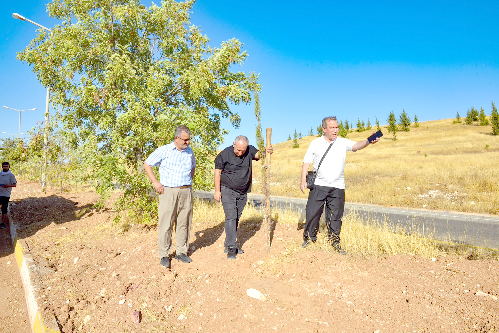 Yeşil Kuşak Projesi Devam Ediyor