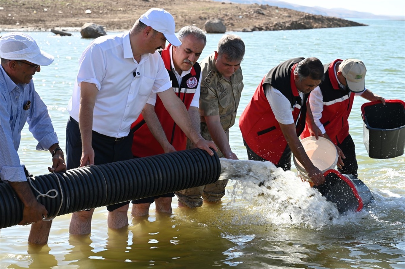 Batman’da 2 Milyon Yavru Sazan Salındı