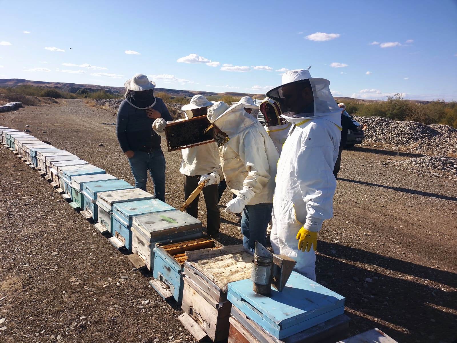 Batmanlı Arıcılara Güney Kore ve Nepal’den Uygulamalı Eğitim