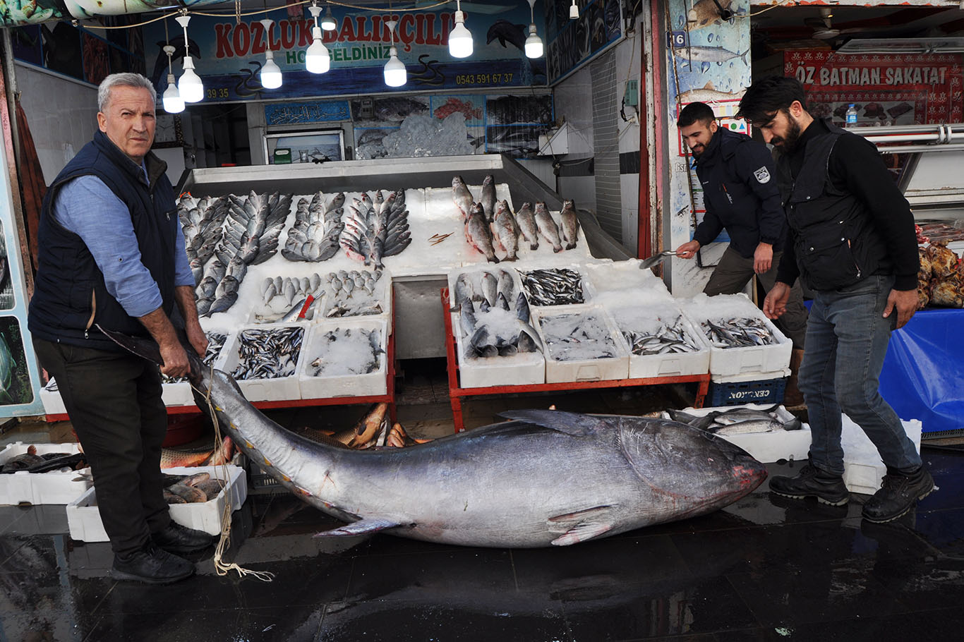 Dev Orkinos Vatandaşların İlgisini Çekti
