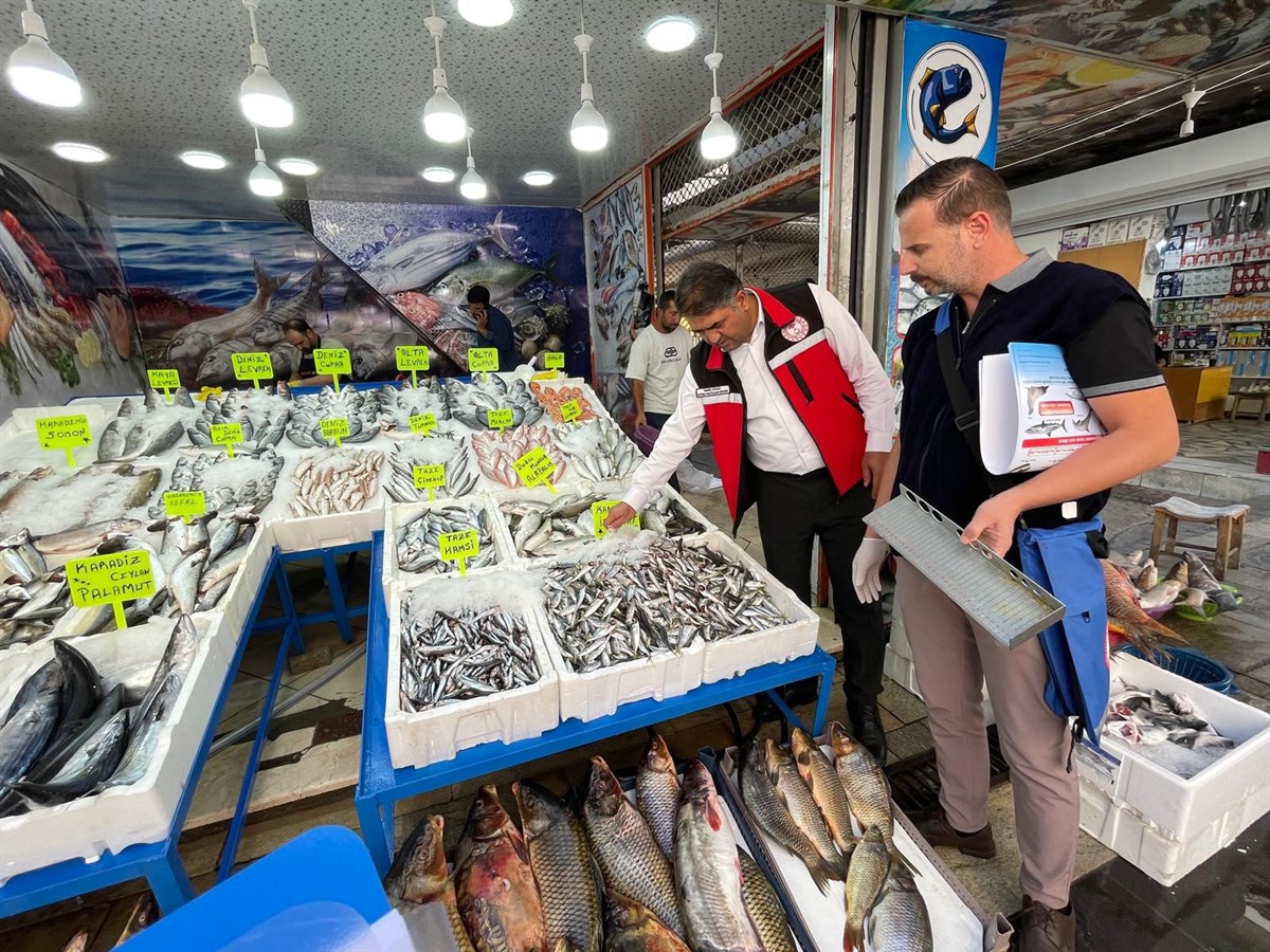 Su ürünleri denetimleri yapılıyor