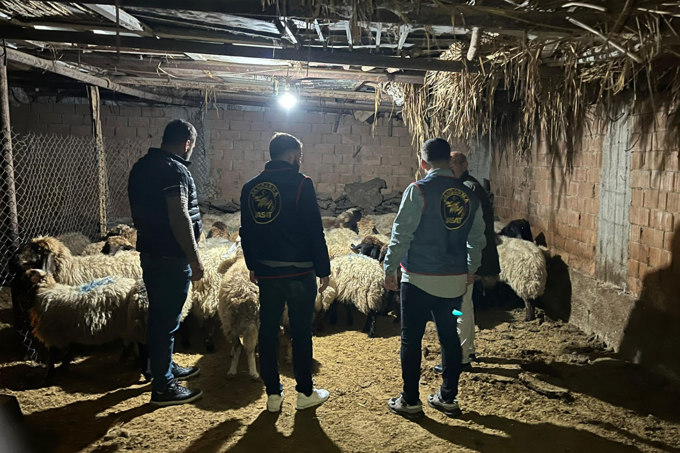 Hayvan hırsızlığından 2 kişi tutuklandı