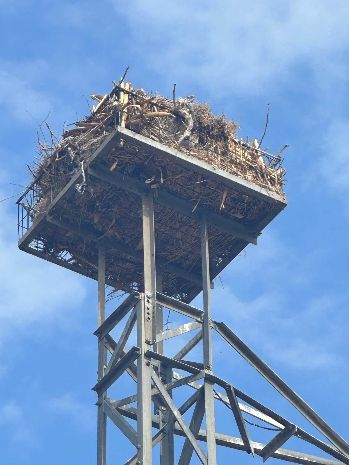 Dicle Elektrik’ten doğal yaşama destek