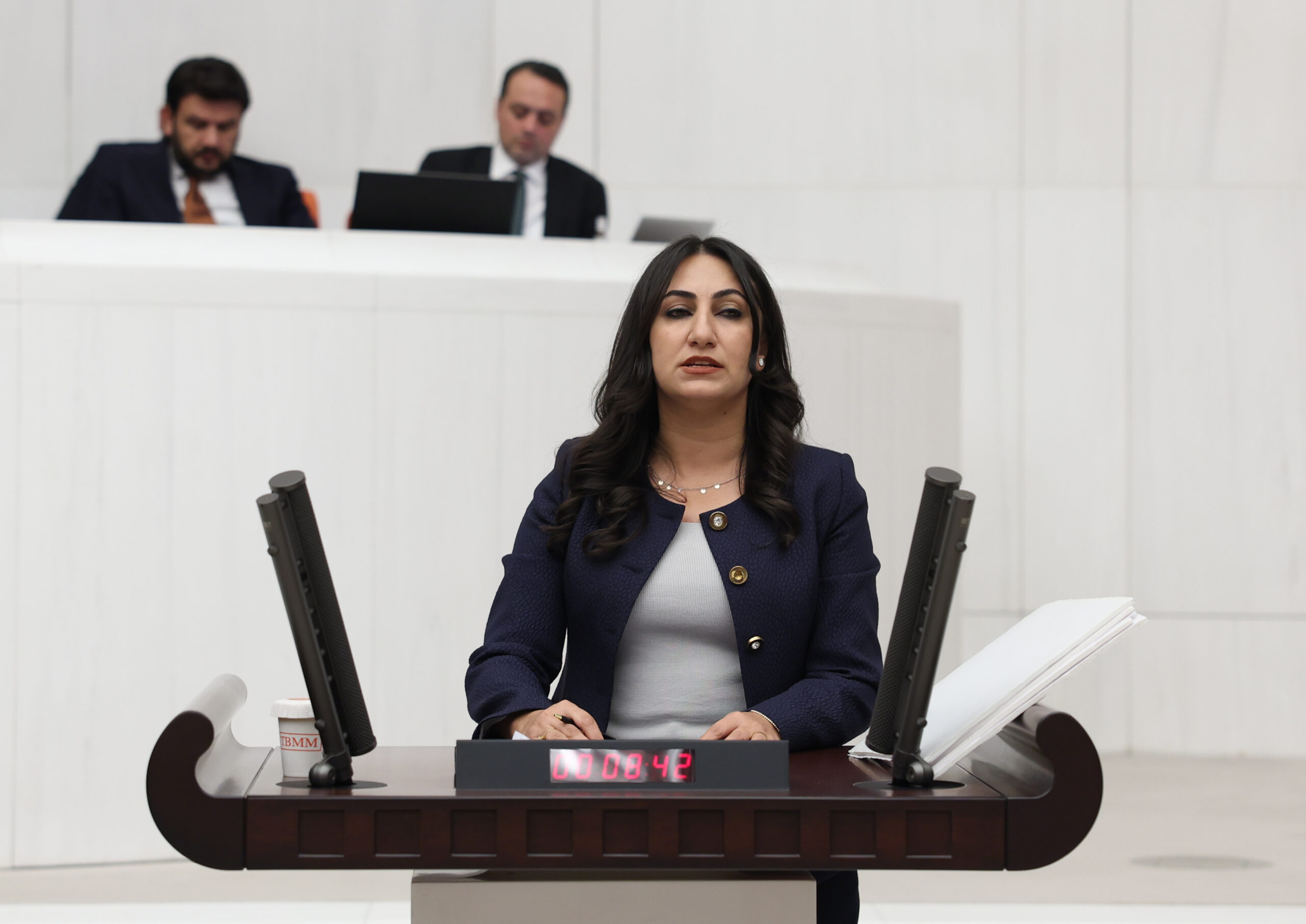 Oduncu, 2024 Basın Özgürlüğü Raporunu açıkladı