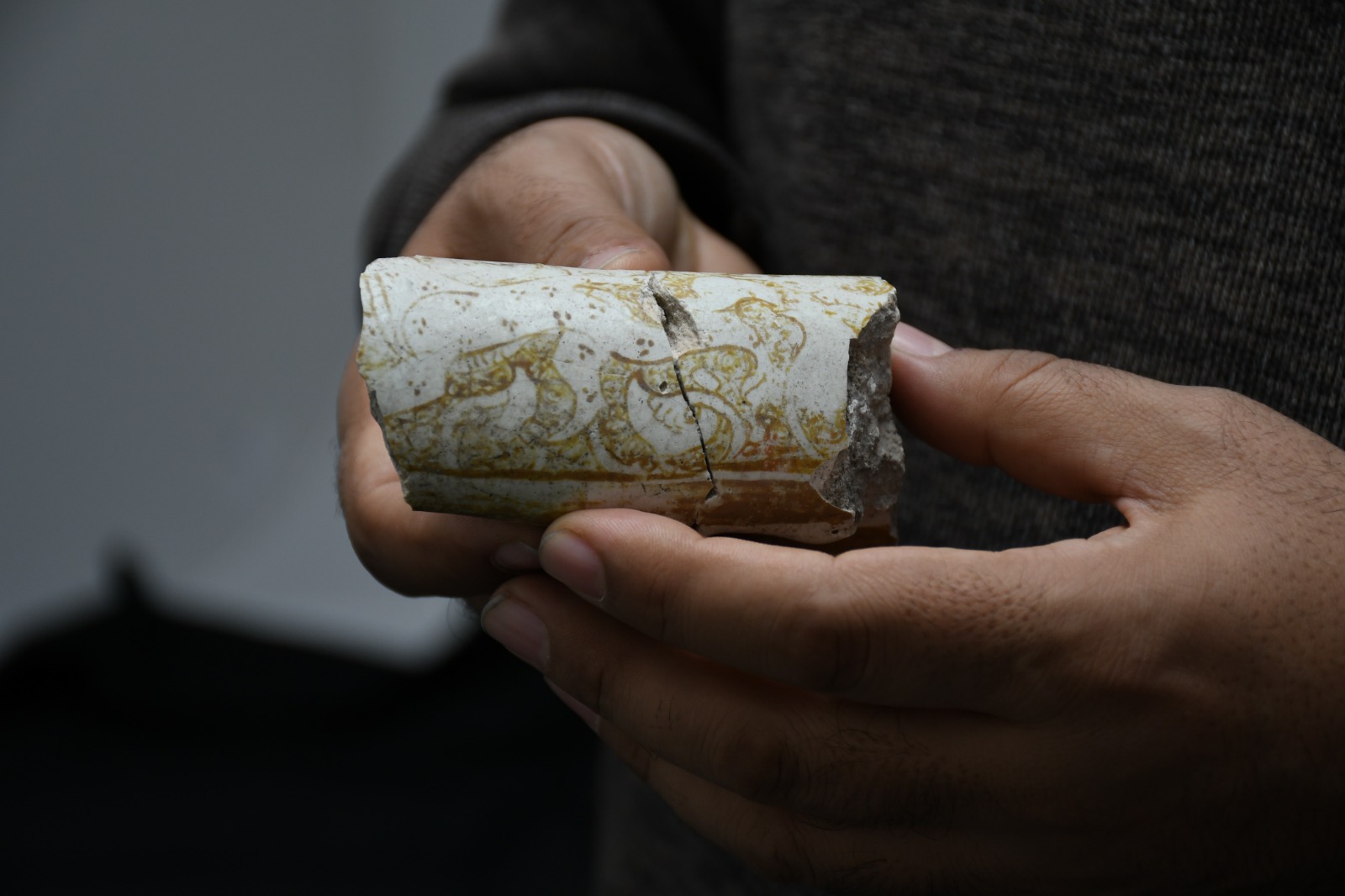 Hasankeyf’te Arkeolojik Kazılarda Anadolu Parsı Figürü Bulundu