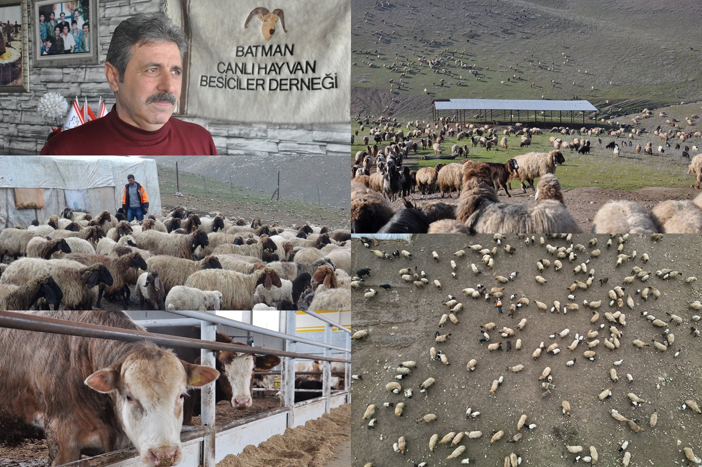 Besiciler, Artan Maliyetlerle Mücadele Ediyor