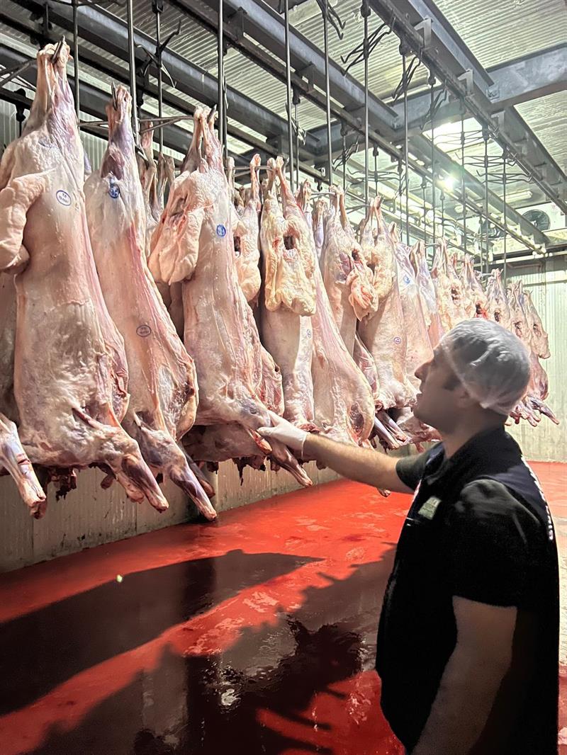 Batman’da Gıda Denetimlerine 3.7 Milyon TL Ceza