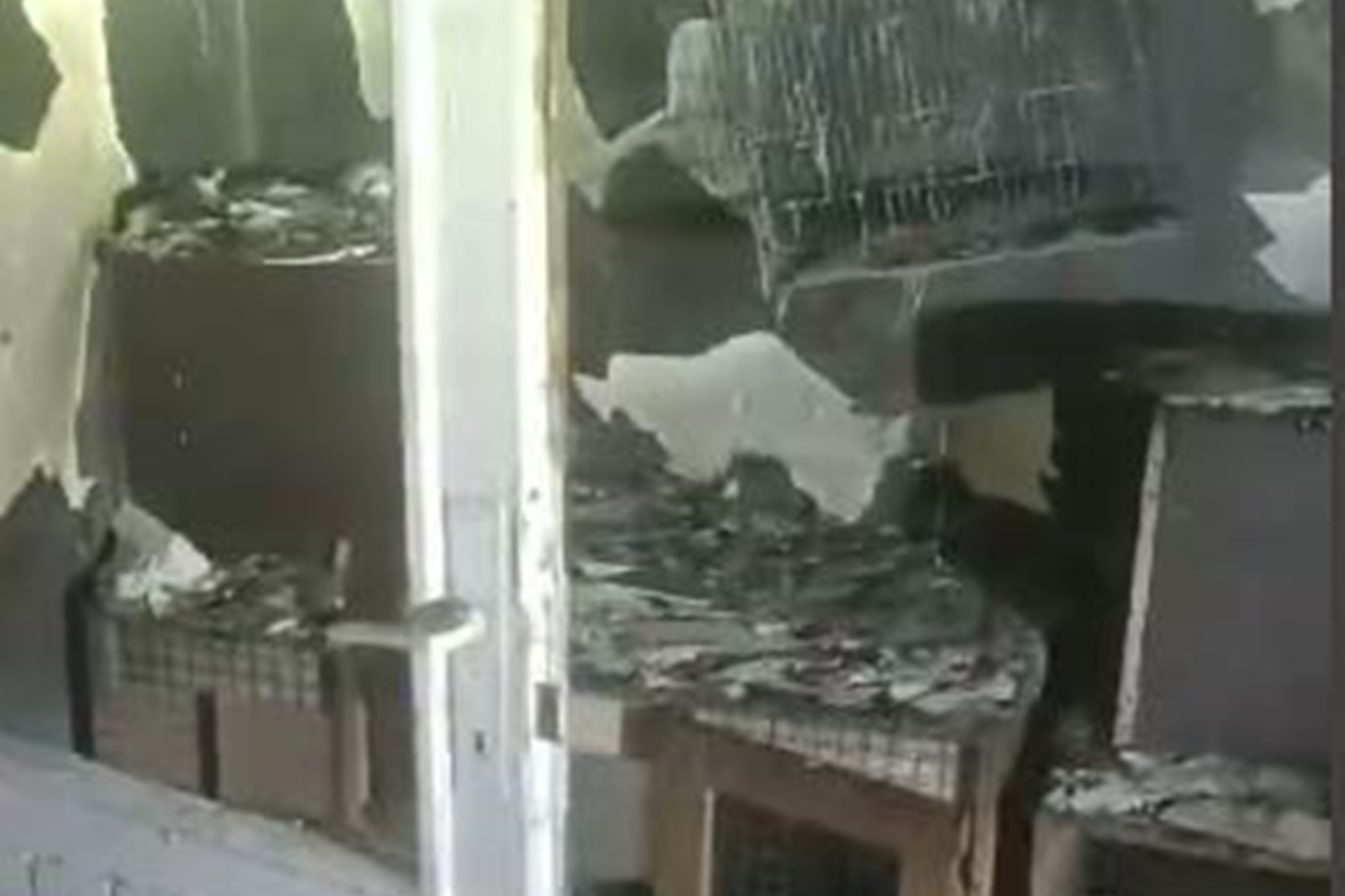 İş Yerinde Çıkan Yangında Çok Sayıda Güvercin Telef Oldu